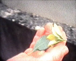 Before Decay thumbnail