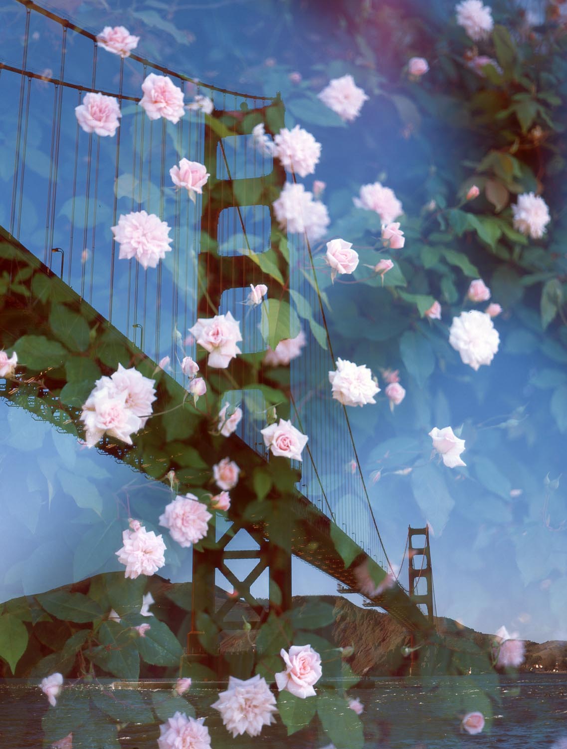 Double Exposure 003