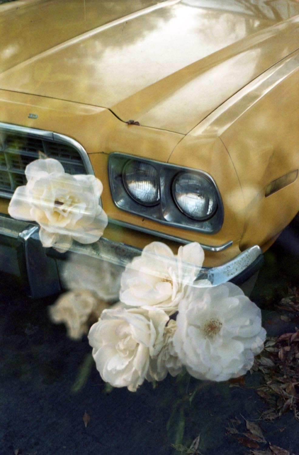 Double Exposure 006