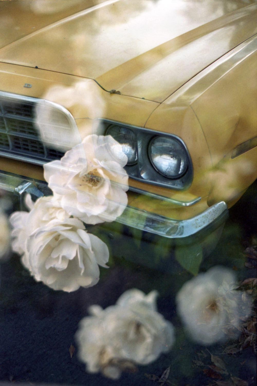 Double Exposure 007