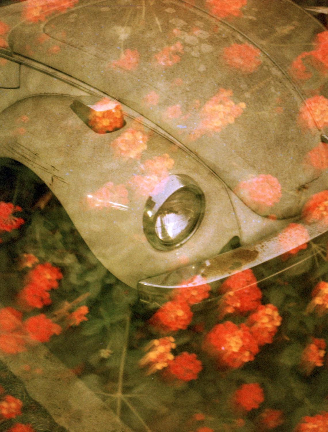 Double Exposure 010