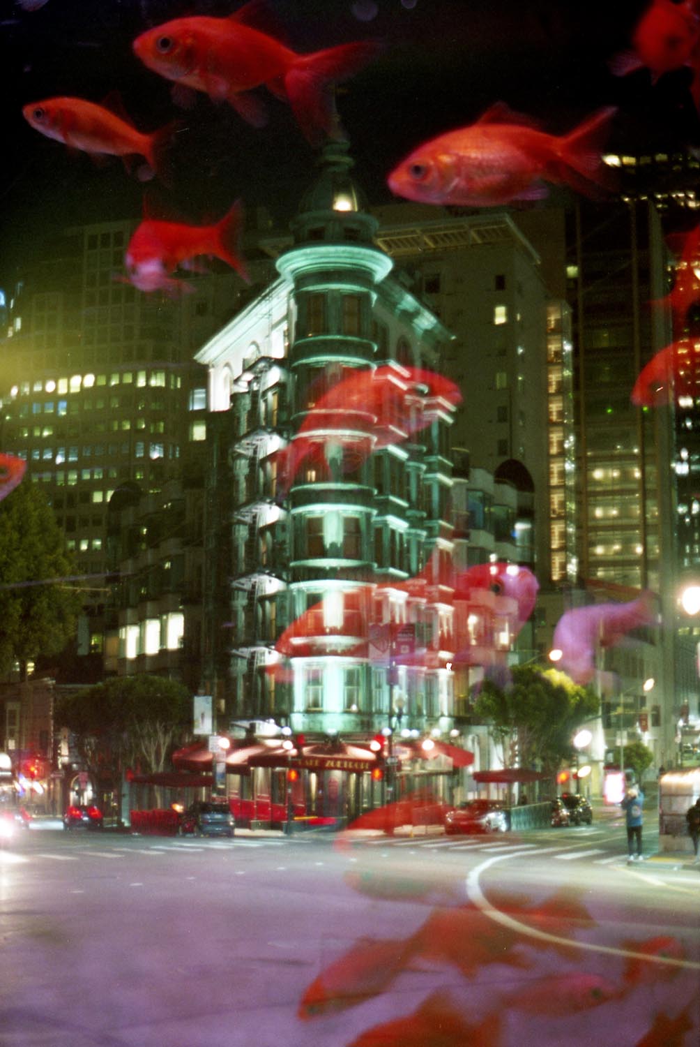 Double Exposure 012