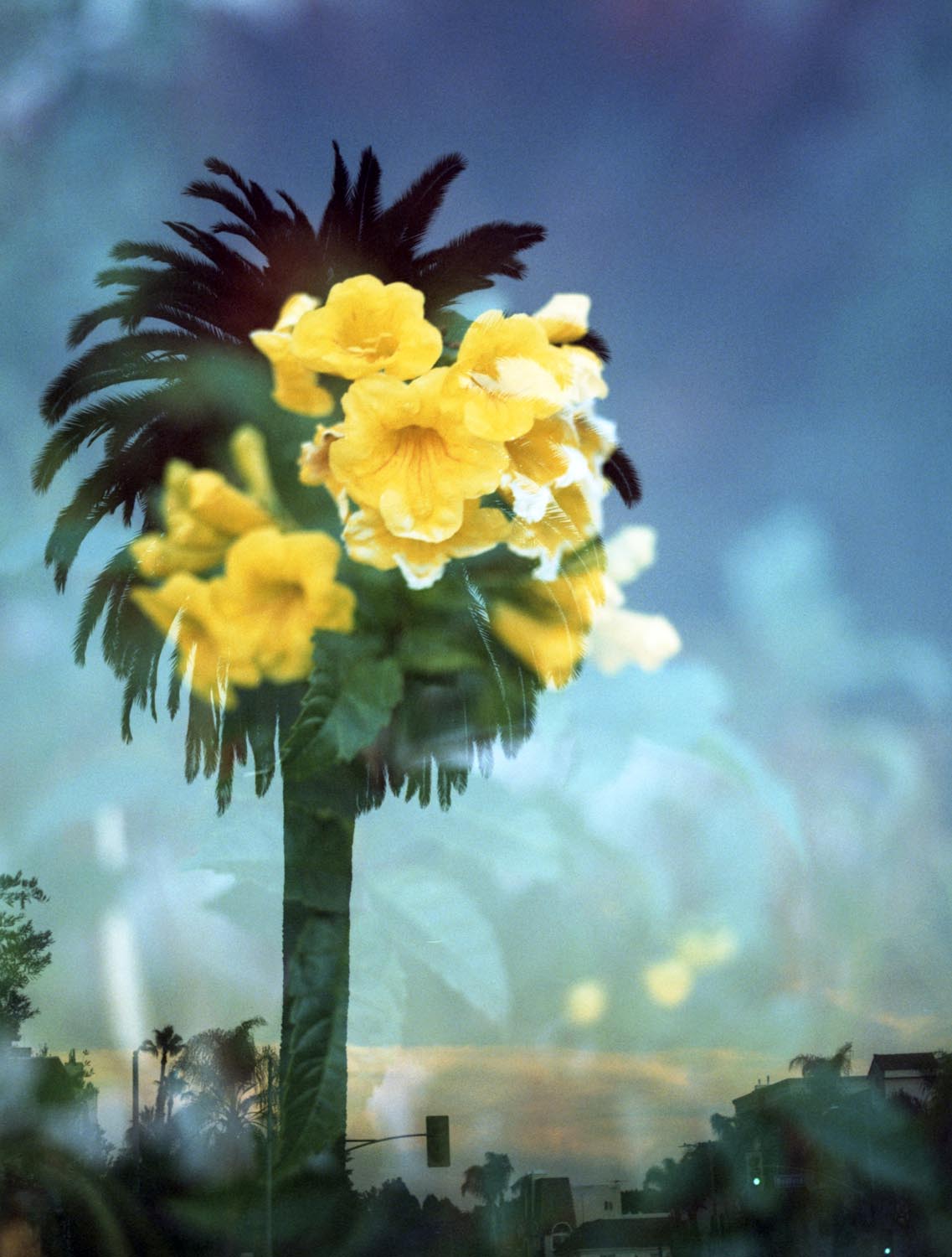Double Exposure 014